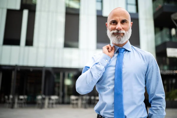 Ältere Glatze Stilvolle Geschäftsmann Porträt Mit Einem Weißen Bart Freien — Stockfoto