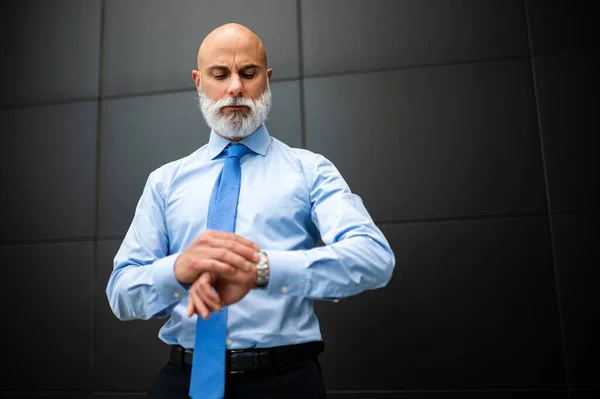 Ältere Glatze Stilvolle Geschäftsmann Porträt Mit Einem Weißen Bart Hält — Stockfoto