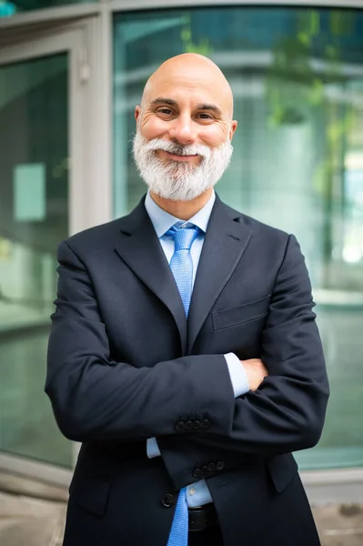 Reife Glatze Stilvolles Geschäftsmann Porträt Mit Weißem Bart Freien Mit — Stockfoto
