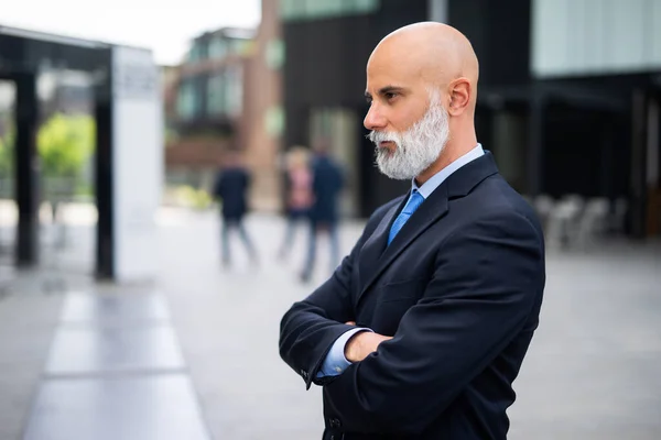 Porträt Eines Selbstbewussten Geschäftsmannes Mit Rasiertem Kopf Und Weißem Bart — Stockfoto