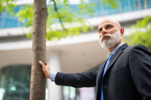 Geschäftsmann Vor Seinem Büro Und Einem Baum Ökologie Und Geschäftskonzept — Stockfoto