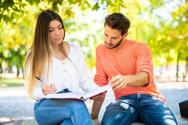 İki öğrenci açık hava bankında birlikte ders çalışıyor.