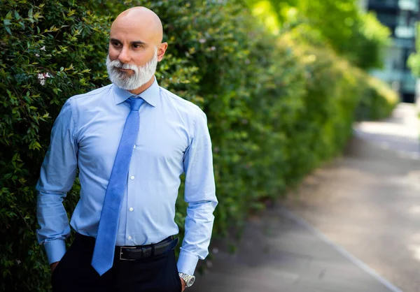 成熟したハゲスタイリッシュなビジネスマンの肖像画 緑の都市の屋外の白いひげ — ストック写真