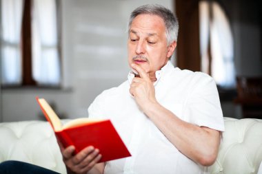 Olgun adam bir kanepe evde kitap okurken rahatlatıcı