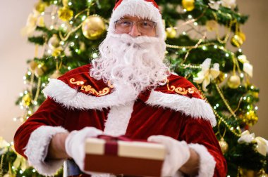 Geleneksel kostümlü neşeli noel baba ağaç arkaplanlı bir hediye sunuyor.