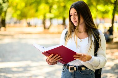 Genç bir üniversite öğrencisi, sakin bir sonbahar gününde, kendini akademik adanmışlık ve gelişime adamış, bilgi ve başarı arayışını sembolize eden, ders kitabına derinden dalmıştı.