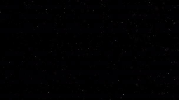 Particules Sur Fond Noir Des Particules Scintillantes Avec Des Étoiles Vidéo De Stock