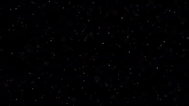 Dust Particles Black Background Glitter Particles Stars Bokeh Shiny Particles — Stock Video