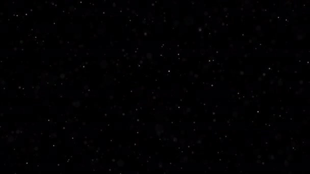Particules Poussière Sur Fond Noir Des Particules Scintillantes Avec Des Séquence Vidéo