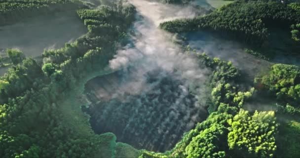 Aerial View Fog River Autumn Sunrise Wildlife Poland — Stock Video