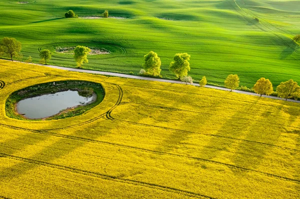 Żółte Pole Gwałtu Wsi Słoneczną Wiosnę Widok Powietrza Rolnictwo Polsce — Zdjęcie stockowe
