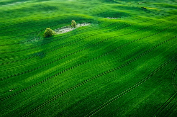Green Field Sunny Spring Countryside Aerial View Agriculture Poland — Stock Photo, Image