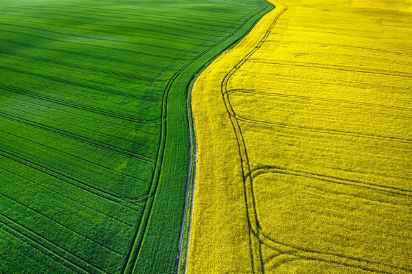 Gran Campo Campo Violación Floreciente Amanecer Vista Aérea Agricultura Polonia — Foto de Stock
