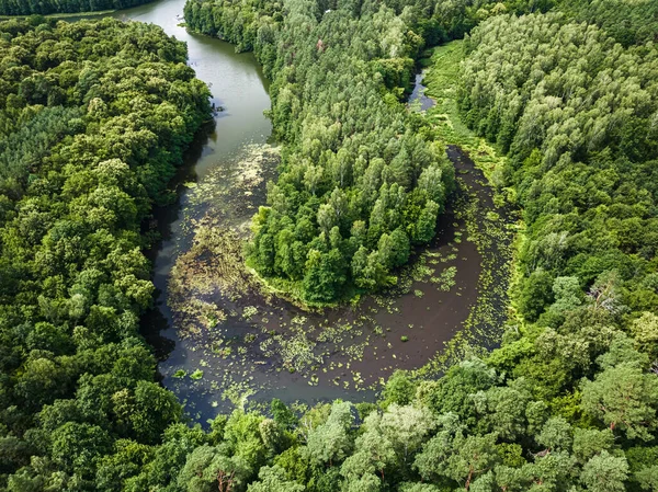 Rio Florestas Verdes Vida Selvagem Polónia Vista Aérea Natureza — Fotografia de Stock