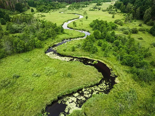 Rio Sinuoso Pântanos Verão Vista Aérea Natureza Polônia — Fotografia de Stock