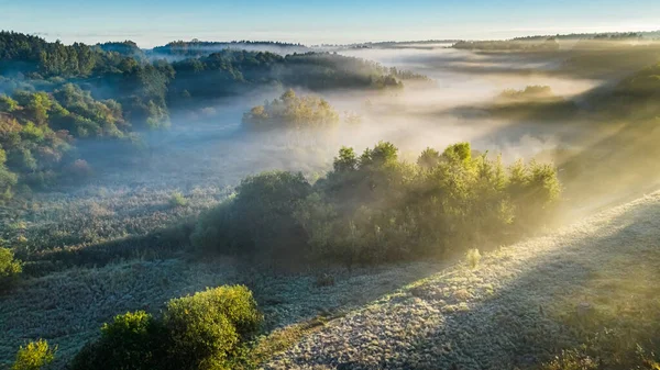 Misty Vallei Rivier Herfst Bij Zonsopgang Luchtfoto Van Wilde Dieren — Stockfoto