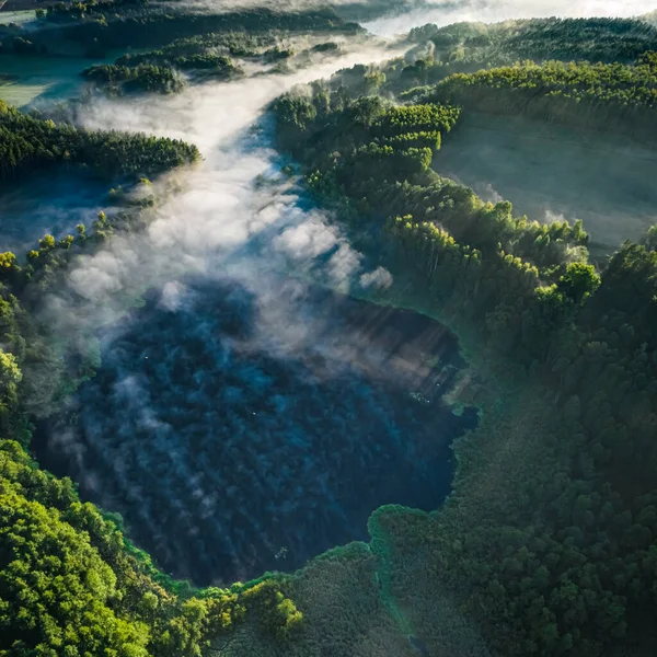 秋天日出时分 薄雾笼罩在河上 波兰的野生动物 — 图库照片
