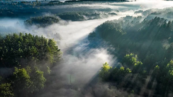 Pandangan Udara Dari Kabut Atas Lembah Dengan Sungai Saat Matahari — Stok Foto