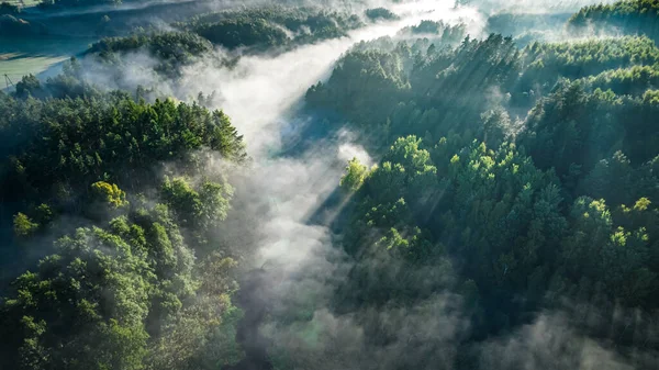Bosque Brumoso Valle Con Río Amanecer Otoño Vista Aérea Vida — Foto de Stock