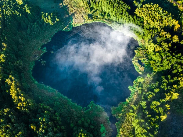 Aerial view of mist over river in autumn at sunrise. Wildlife in Poland.