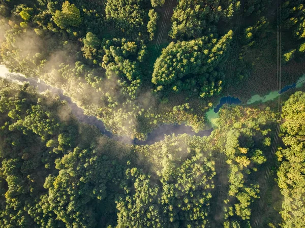 Сверху Вид Туманную Долину Осенью Рассвете Дикая Природа Польши — стоковое фото
