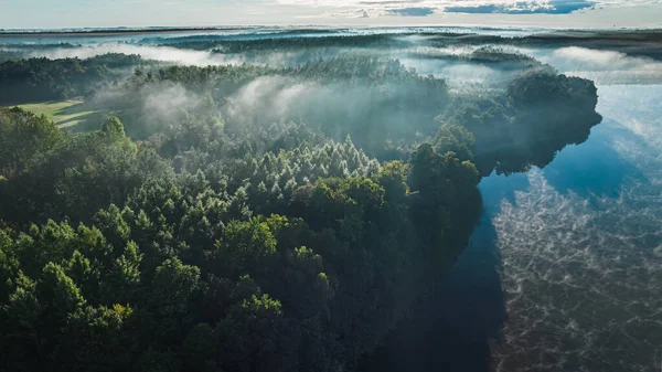 Lago Nebuloso Floresta Outono Nascer Sol Vista Aérea Vida Selvagem — Fotografia de Stock