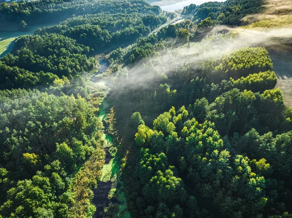 Stock image Aerial view of foggy valley with river in autumn at sunrise. Wildlife in Poland.