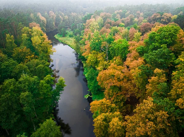 Fluss Und Nebliger Wald Herbst Luftaufnahme Der Tierwelt Natur Polen — Stockfoto