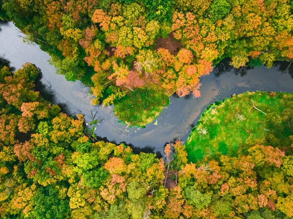 Top down view of river and forest in autumn. Nature in Poland, Europe.