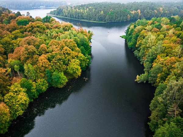 Sonbaharda Orman Büyük Göl Polonya Avrupa Doğanın Havadan Görünüşü — Stok fotoğraf