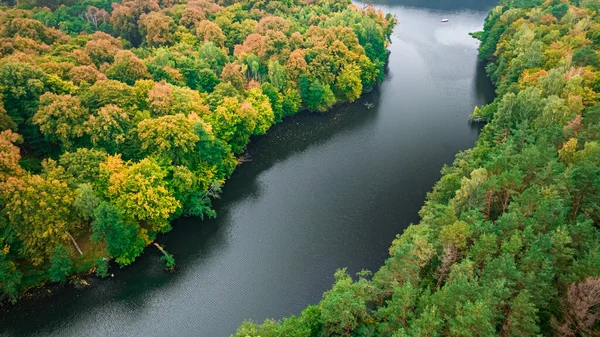 Река Красочный Лес Осенью Вид Воздуха Дикую Природу Польше Европа — стоковое фото