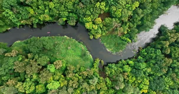 Aerial View Kayaking River Wildlife Poland Aerial View Poland Europe — Vídeos de Stock