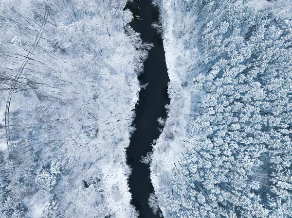 Mała Rzeka Biały Las Polsce Drzewa Pokryte Śniegiem — Zdjęcie stockowe