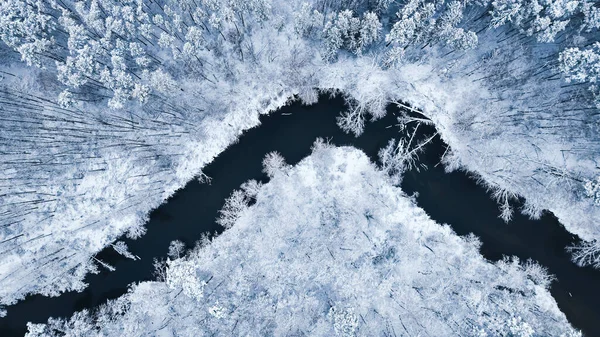 凍った森の上を飛んで 冬に川を巻き ポーランド 自然の中で雪の冬の鳥の眼ビュー — ストック写真