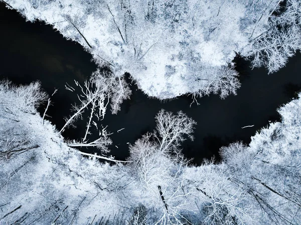 冬季的布尔达河和雪地森林的空中景观 欧洲野生动物的空中景观 — 图库照片