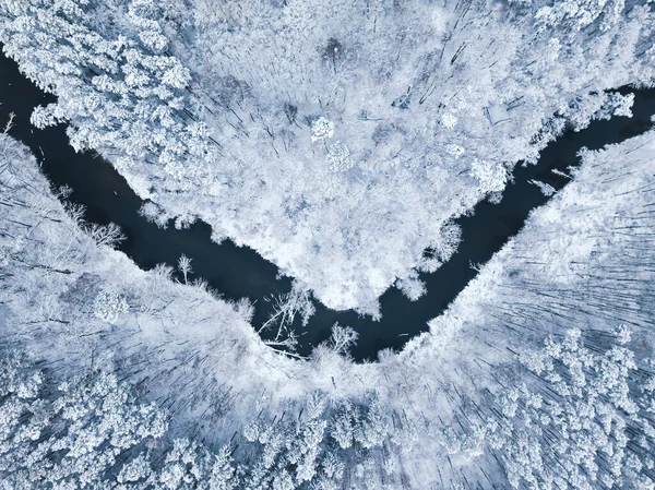 凍った森とポーランドの巻き川の上を飛行します ポーランド ヨーロッパの野生動物の空中ビュー — ストック写真
