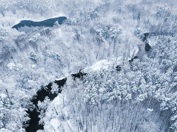 Aerial view of forest with snow and flowing river in winter. Bird eye view of snowy winter in nature.