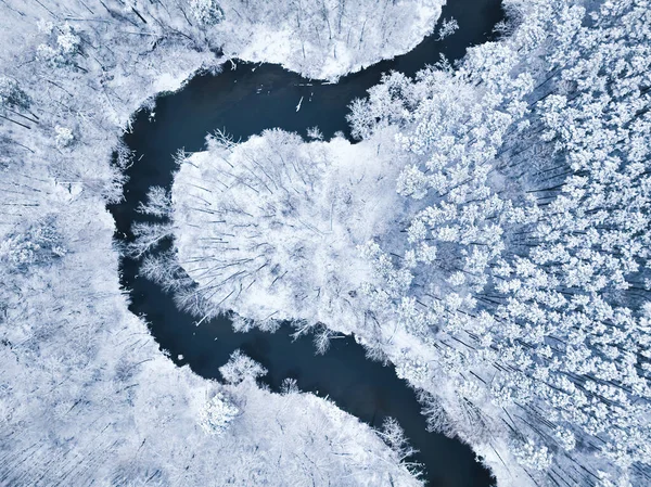 冬には雪に覆われた森の中を流れる川の空中風景 木々は雪で覆われている — ストック写真