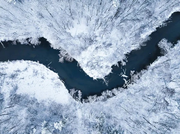 Kışın Donmuş Ormanın Dolambaçlı Nehrin Havadan Görünüşü Ağaçlar Karla Kaplı — Stok fotoğraf