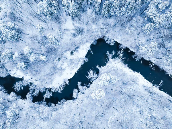 Flug Über Wald Mit Schnee Und Fließendem Fluss Polen Die — Stockfoto
