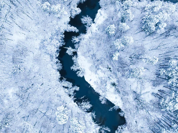 Luftaufnahme Des Verschneiten Waldes Und Des Kleinen Flusses Winter Vogelperspektive — Stockfoto