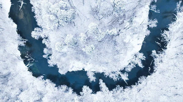 ブラダ川とポーランドの雪の森の上を飛行します 自然の中で雪の冬の鳥の眼ビュー — ストック写真