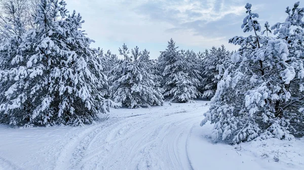 冬季乡村道路和白雪覆盖的森林的空中景观 大自然的雪冬 — 图库照片
