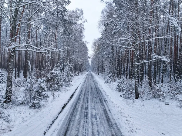 Polonya Kışın Asfalt Yol Karlı Ormanın Üzerinde Uçar Kışın Vahşi — Stok fotoğraf
