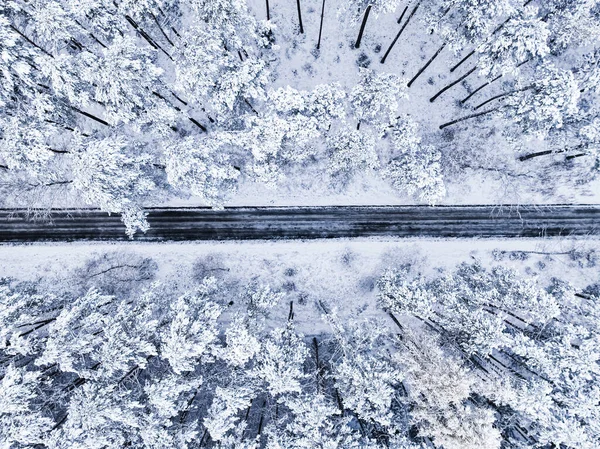 Volando Sobre Bosque Con Nieve Asfalto Carretera Invierno Polonia Vida —  Fotos de Stock