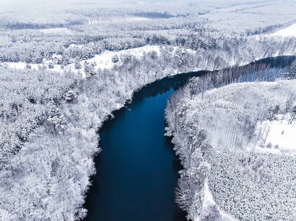 ポーランドのBrda川と雪の森の上を飛んでいます 木々は雪で覆われている — ストック写真