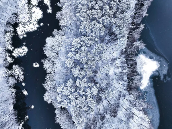 Luftaufnahme Des Kleinen Flusses Und Des Weißen Waldes Winter Vogelperspektive — Stockfoto