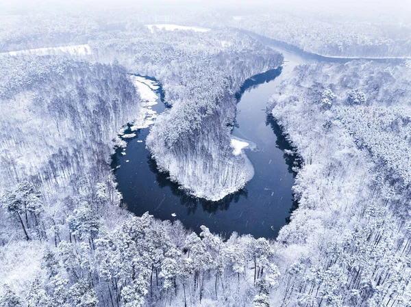 冬季飞越白森林和寒冷的河流 树被雪覆盖着 — 图库照片