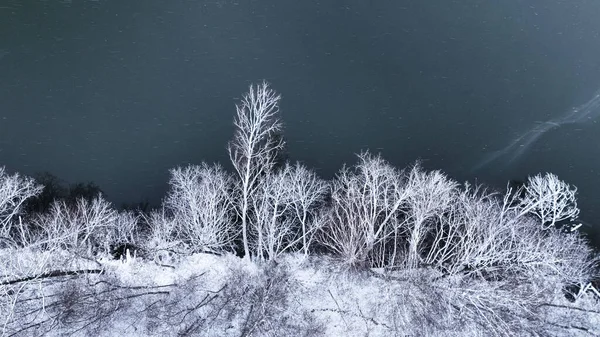 Repülő Felett Kis Folyó Fehér Erdő Télen Lengyelország Vadon Élő — Stock Fotó