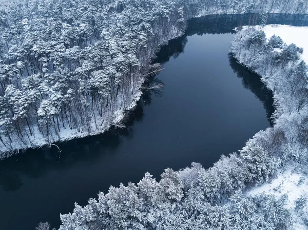 Vliegen Boven Bos Met Sneeuw Stromende Rivier Winter Polen Luchtfoto — Stockfoto
